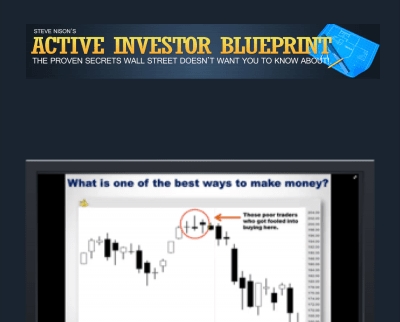 Active Investor Blueprint Steve Nison1 - BoxSkill US