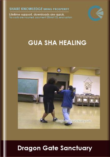 Gua Sha Healing Dragon Gate Sanctuary - BoxSkill US