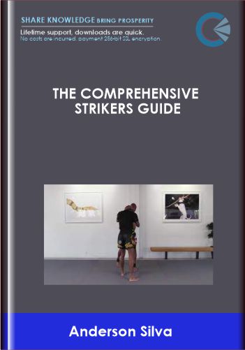 The Comprehensive Strikers Guide Anderson Silva - BoxSkill US